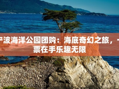 宁波海洋公园团购：海底奇幻之旅，一票在手乐趣无限