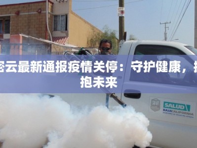 潍坊疫情最新结果：科学防控下的城市韧性与希望之光