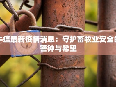 阿根廷疫情最新航班：安全启航，畅享南美之美