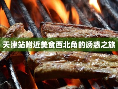 天津站附近美食西北角的诱惑之旅