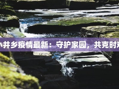 小井乡疫情最新：守护家园，共克时艰