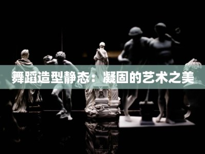 舞蹈造型静态：凝固的艺术之美