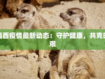 揭西疫情最新动态：守护健康，共克时艰