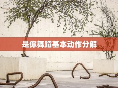 是你舞蹈基本动作分解
