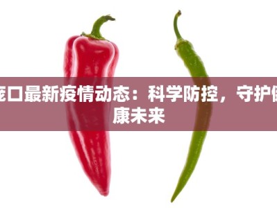 庞口最新疫情动态：科学防控，守护健康未来
