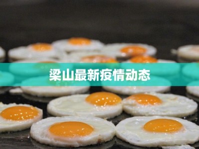 云南疫情最新隆阳疫情：守护家园，科学防控，共克时艰