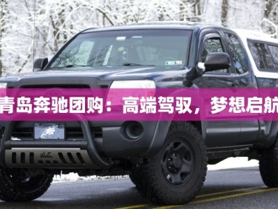 青岛奔驰团购：高端驾驭，梦想启航