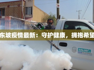 东坡疫情最新：守护健康，拥抱希望