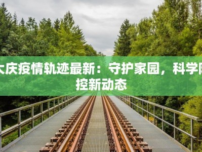 大庆疫情轨迹最新：守护家园，科学防控新动态