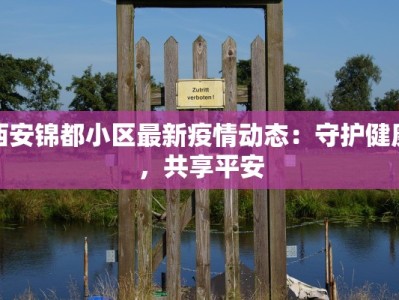 西安锦都小区最新疫情动态：守护健康，共享平安