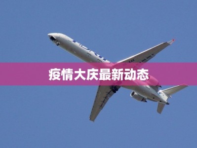 疫情大庆最新动态