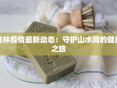 桂林疫情最新动态：守护山水间的健康之旅