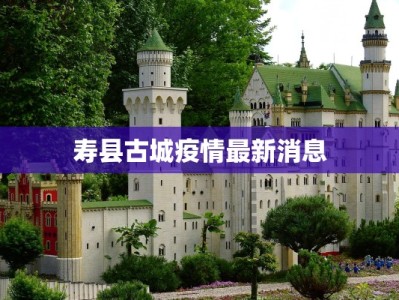 寿县古城疫情最新消息