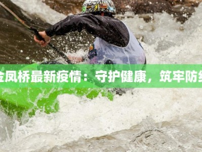 金凤桥最新疫情：守护健康，筑牢防线