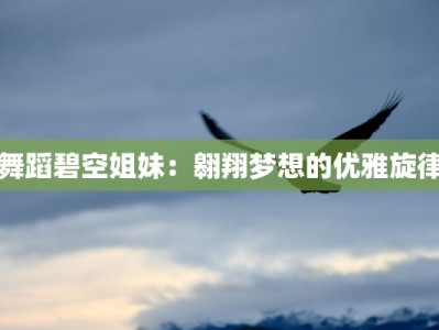 舞蹈碧空姐妹：翱翔梦想的优雅旋律