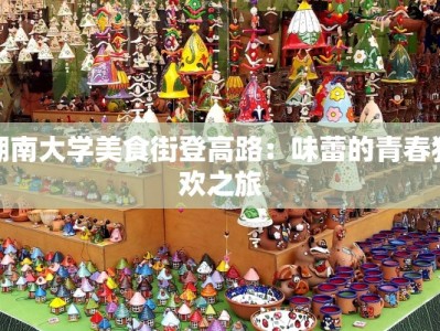 湖南大学美食街登高路：味蕾的青春狂欢之旅