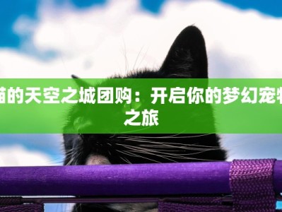 猫的天空之城团购：开启你的梦幻宠物之旅