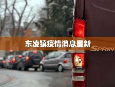 东凌镇疫情消息最新