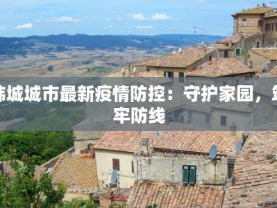 韩城城市最新疫情防控：守护家园，筑牢防线