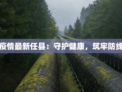 疫情最新任县：守护健康，筑牢防线