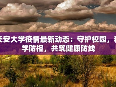 古风舞蹈圆扇：翩翩一舞，扇动千年风华