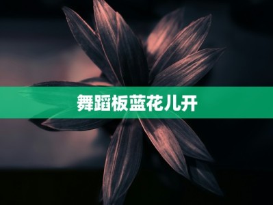 舞蹈板蓝花儿开