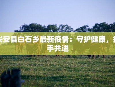 兴安县白石乡最新疫情：守护健康，携手共进