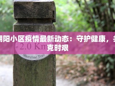 朝阳小区疫情最新动态：守护健康，共克时艰