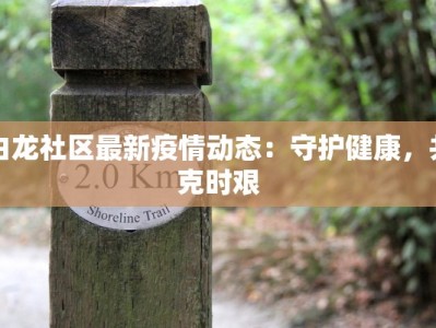 白龙社区最新疫情动态：守护健康，共克时艰