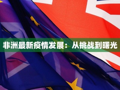 非洲最新疫情发展：从挑战到曙光