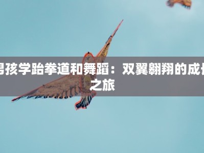 男孩学跆拳道和舞蹈：双翼翱翔的成长之旅