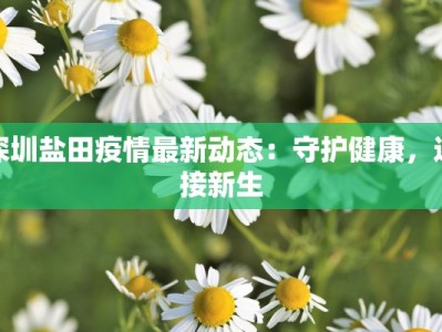 深圳盐田疫情最新动态：守护健康，迎接新生