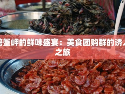 螃蟹岬的鲜味盛宴：美食团购群的诱人之旅
