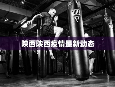 陕西陕西疫情最新动态