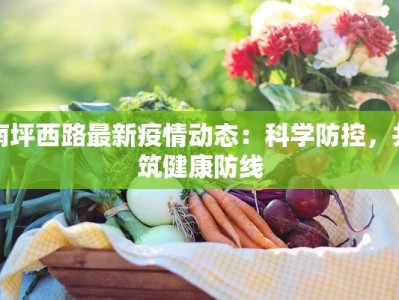 南坪西路最新疫情动态：科学防控，共筑健康防线