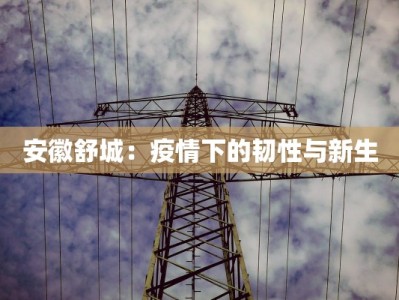 安徽舒城：疫情下的韧性与新生