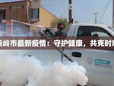 秦岭市最新疫情：守护健康，共克时艰