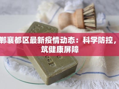 舞动青春，绽放艺术之光——大学生艺术团舞蹈团的魅力之旅