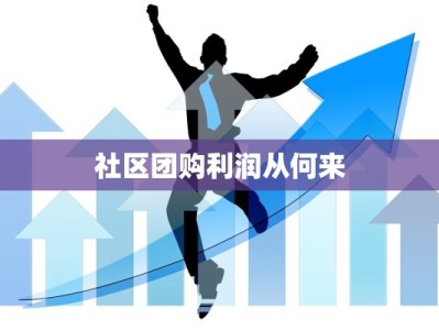 社区团购利润从何来