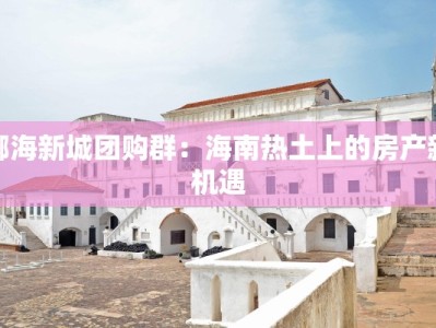 椰海新城团购群：海南热土上的房产新机遇