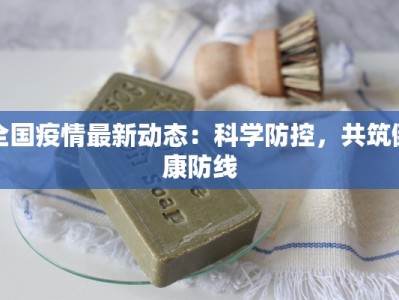 环城区疫情报告最新
