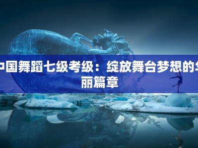 中国舞蹈七级考级：绽放舞台梦想的华丽篇章