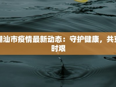 潮汕市疫情最新动态：守护健康，共克时艰