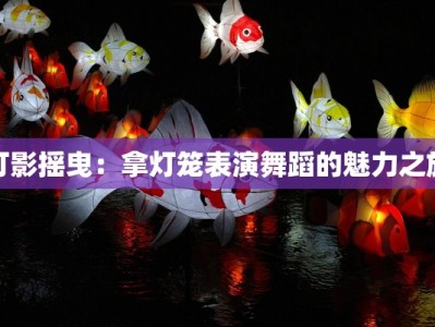 灯影摇曳：拿灯笼表演舞蹈的魅力之旅