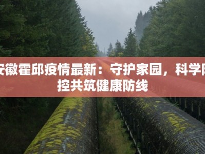 安徽霍邱疫情最新：守护家园，科学防控共筑健康防线