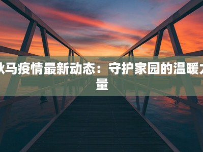 耿马疫情最新动态：守护家园的温暖力量