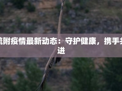 疏附疫情最新动态：守护健康，携手共进