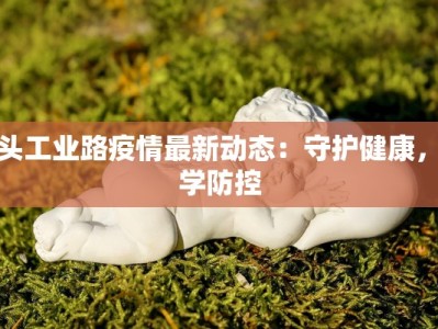 包头工业路疫情最新动态：守护健康，科学防控