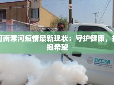 河南漯河疫情最新现状：守护健康，拥抱希望