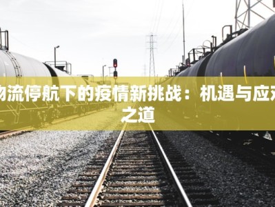 物流停航下的疫情新挑战：机遇与应对之道
